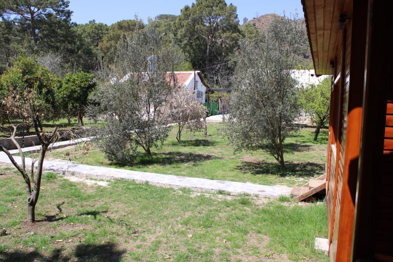 Seker Bungalov Lejlighed Çıralı Eksteriør billede