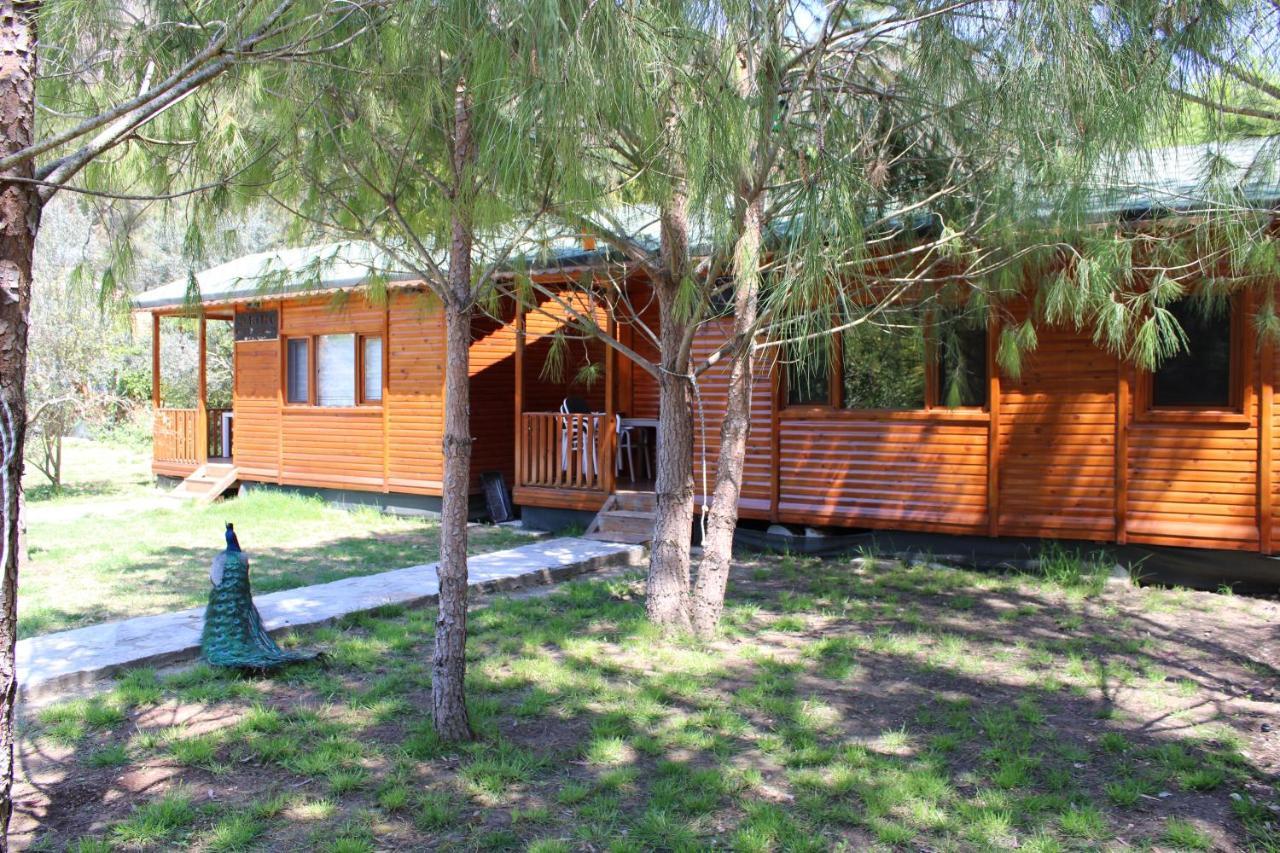 Seker Bungalov Lejlighed Çıralı Eksteriør billede